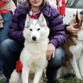 Аватара пользователя