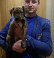 Аватара пользователя