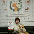 Аватара пользователя