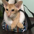 Аватара пользователя